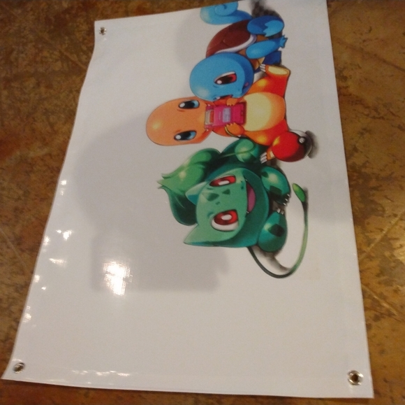 Pokemon Vinyl Banner - Picture 4 of 4